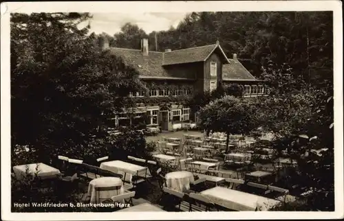 Ak Blankenburg am Harz, Hotel Waldfrieden, Außenansicht, Garten