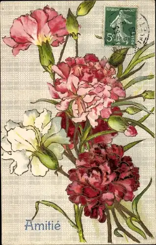 Präge Litho Amitie, Nelken, rote, weiße und rosa Blüten, Blumen