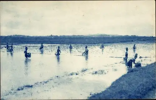 Ak Madagaskar, Pêcheuses dans les marais, Fischer