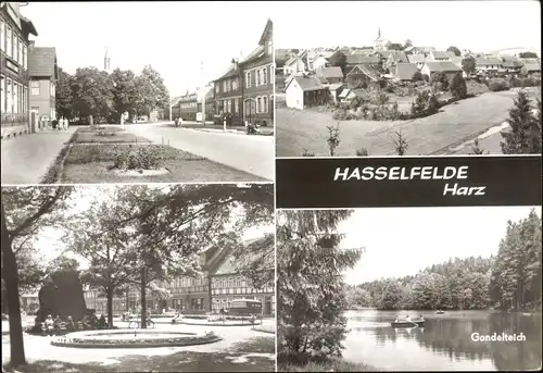 Ak Hasselfelde Oberharz am Brocken, Panorama vom Ort, Straßenpartie, Am Markt, Gondelteich