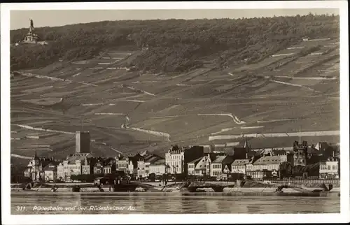 Ak Rüdesheim am Rhein, Blick von der Rüdesheimer Au, Weinberg