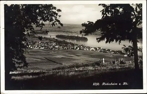 Ak Rüdesheim am Rhein, Panorama vom Ort