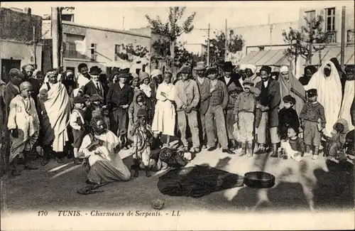 Ak Tunis Tunesien, Charmeurs de Serpents, Schlangenbeschwörer