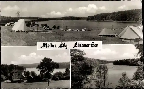 Ak Mölln in Schleswig Holstein, Lütauer See, Panorama, Teilansicht, Campingplatz