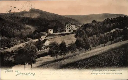 Ak Johannaberg Berlebeck Detmold, Panorama vom Ort, Teutoburger Wald