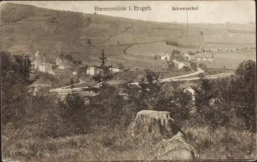 Ak Rechenberg Bienenmühle Erzgebirge, Blick zum Schweizerhof mit Umgebung