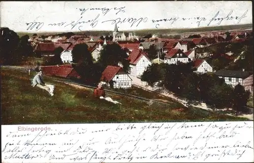 Ak Elbingerode Oberharz am Brocken, Blick auf den Ort