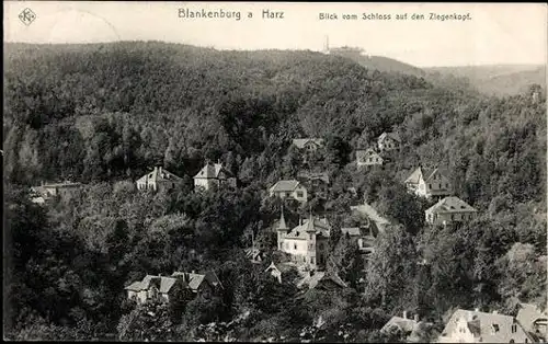 10 Ak Blankenburg am Harz, diverse Ansichten 