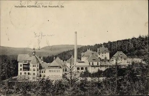 Ak Hohwald Neustadt in Sachsen, Panorama vom Ort