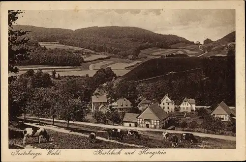 Ak Berlebeck Detmold in Nordrhein Westfalen, Panorama vom Ort, Hangstein u. Teutoburger Wald, Kühe
