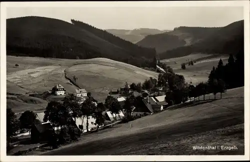 Ak Wildenthal Eibenstock im Erzgebirge, Totalansicht vom Ort, Blick in die Ferne