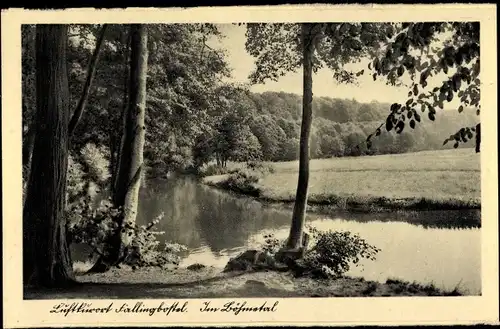 Ak Bad Fallingbostel Lüneburger Heide, Weidepartie mit Fluss