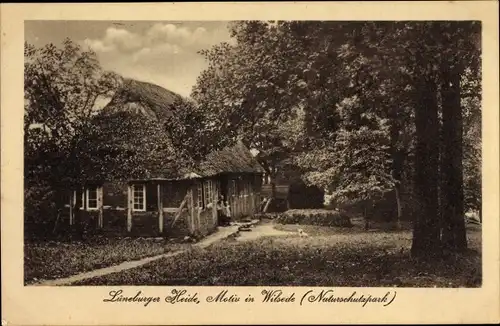 Ak Wilsede Bispingen im Heidekreis, Ortspartie, Altes Bauernhaus, Naturschutzpark