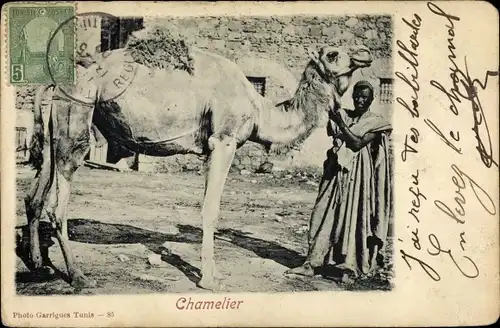 Ak Tunesien, Chamelier, Tunesischer Kameltreiber