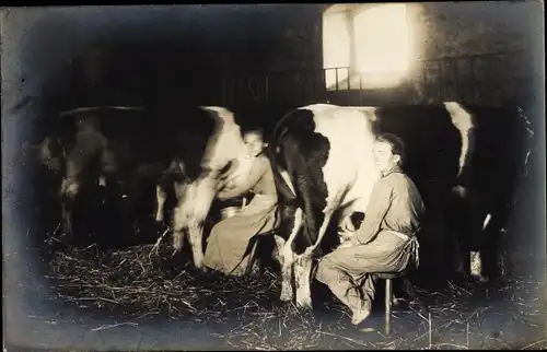 Foto Ak Frau beim Melken einer Kuh, Kuhstall