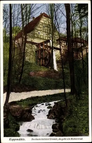 Ak Dresden Hosterwitz Sachsen, schöne Detailansicht