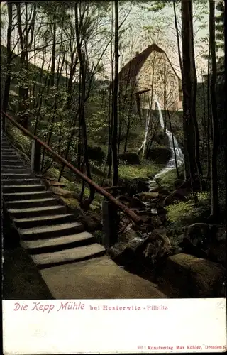 Ak Dresden Hosterwitz Sachsen, schöne Detailansicht