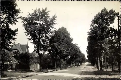 Foto Ak Mellendorf Wedemark in Niedersachsen, Straßenpartie, Allee, Wohnhäuser