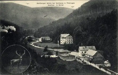 Ak Gehlberg Thüringen, Gehlberger Mühle, Bes. E. Möller, Hirsch, Panorama vom Ort