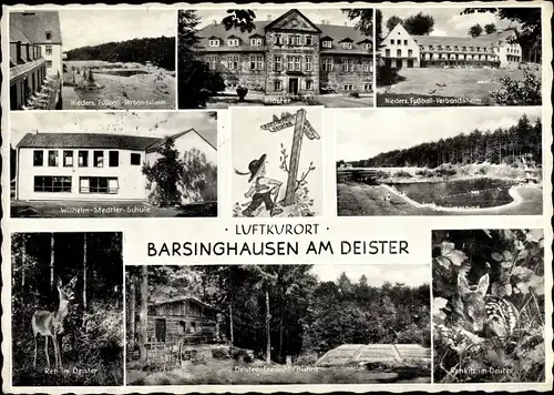 Ak Barsinghausen Niedersachsen, Fußballverbandsheim, Kloster, Wilhelm Stedtler Schule, Rehkitz