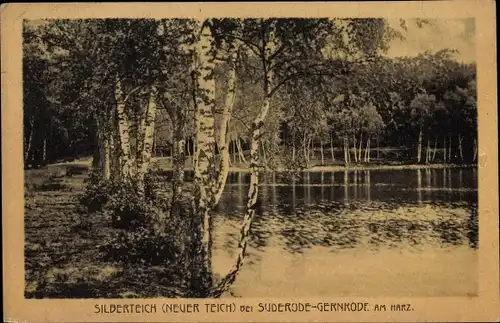 Ak Bad Suderode Quedlinburg im Harz, Partie am Silberteich