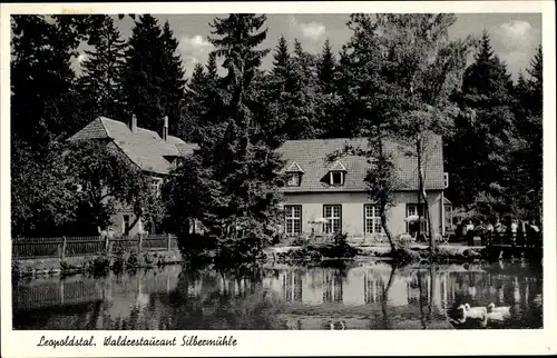 Ak Leopoldstal Horn Bad Meinberg NRW, Waldrestaurant Silbermühle