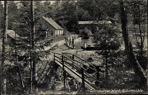 Ak Leopoldstal Horn Bad Meinberg Nordrhein Westfalen, Brücke zur Silbermühle, Wald