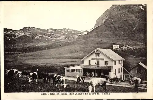 Ak Haute Savoie, Chalet Hôtel des Aravis, Kuhweide