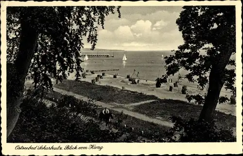 Ak Scharbeutz in Ostholstein, Strand, Reiter m. Pferd, Segelboote, Seebrücke, Blick vom Wald aus