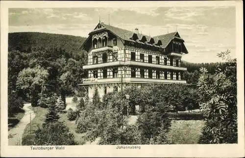 Ak Berlebeck Detmold in Nordrhein Westfalen, Hotel Johannaberg, Panorama