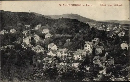 Ak Blankenburg am Harz, Blick vom Schloss auf den Ort