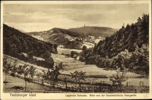 Ak Detmold in Nordrhein Westfalen, Lippische Scshweiz, Totalansicht, Blick von Hangstein