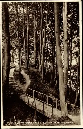 Ak Timmendorfer Strand in Ostholstein, In der Kammer, Waldpartie, Holzbrücke