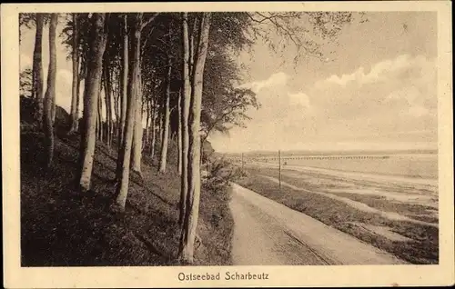 Ak Scharbeutz in Ostholstein, Straßenpartie, Wald, Dünen