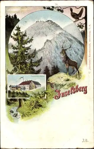 Ak Brotterode Trusetal in Thüringen, Inselsberg, Preussischer Gasthof, Hirsch