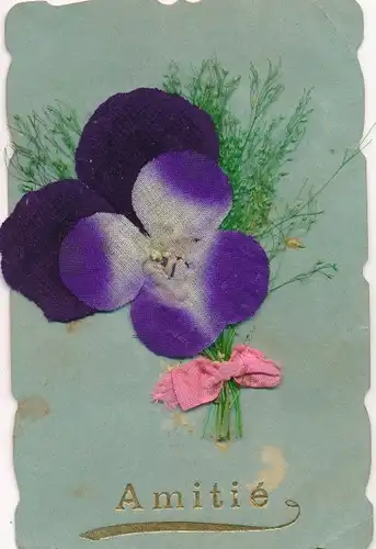 Stoff Material Ak Amitié, Stiefmütterchen, lila Blüte, getrocknete Gräser