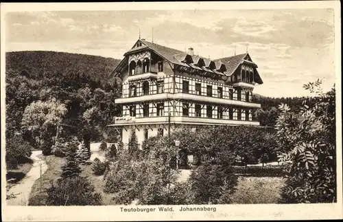 Ak Detmold in Nordrhein Westfalen, Hotel Johannaberg, Panorama