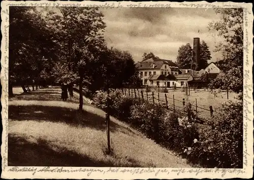 Ak Eichelhütte Eisenschmitt Rheinland Pfalz, Pension Molitor