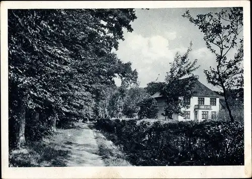 Ak Stenum Ganderkesee in Niedersachsen, T. Backenköhler's Gasthaus, Waldansicht, Straßenpartie