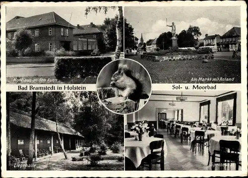 Ak Bad Bramstedt Schleswig Holstein, Kurhaus an der Auen, Markt mit Roland, Eichhörnchen