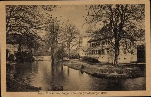 Ak Borgholzhausen in Westfalen, Haus Brincke, Panorama