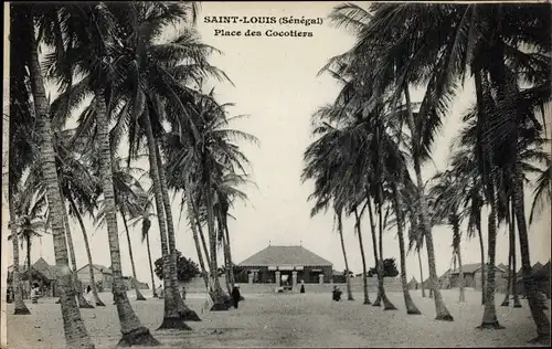 Ak Saint Louis Senegal, Place des Cocotiers, Platz mit Kokospalmen, Gebäude