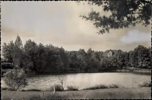 Foto Ak Mellendorf Wedemark in Niedersachsen, Partie am Teich, Panorama