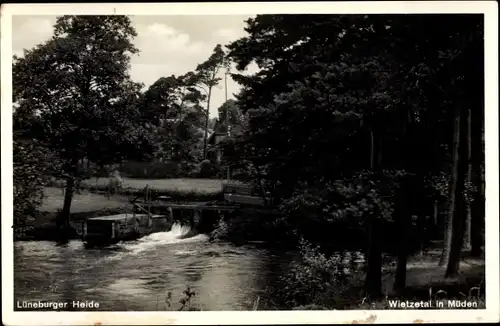 Ak Müden an der Örtze Faßberg in der Lüneburger Heide, Wietzetal, Teichpartie, Panorama