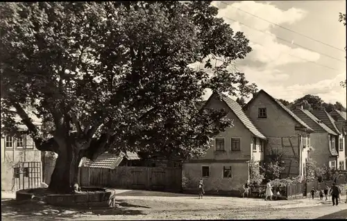 Ak Kranichfeld in Thüringen, Die Linde vorm Baumbachhaus