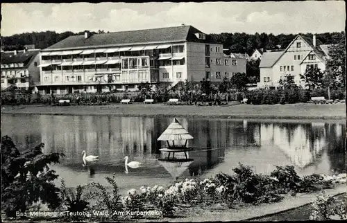 Ak Horn Bad Meinberg Nordrhein Westfalen, Kurparkteich