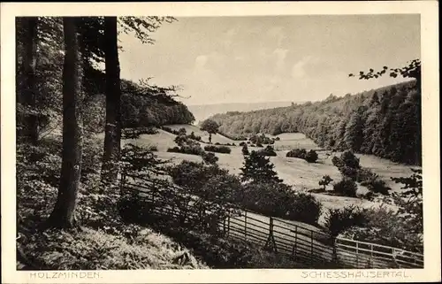 Ak Holzminden in Niedersachsen, Schiesshäusertal, Panorama