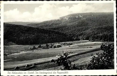 Ak Hessisch Oldendorf an der Weser, Hohenstein, Im Vordergrund die Pappmühle, Panoramaansicht