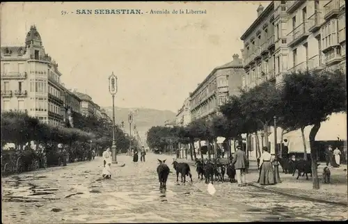 Ak San Sebastian Baskenland, Avenida de la Libertad