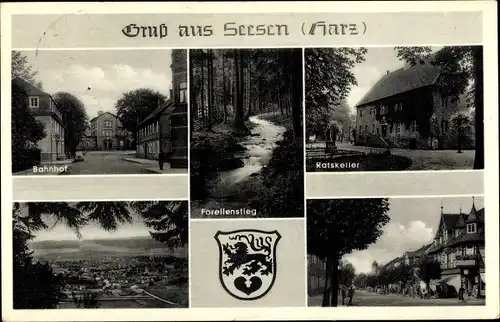 Ak Seesen in Niedersachsen, Panorama vom Ort, Wappen, Bahnhof, Forellenstieg, Ratskeller, Straße